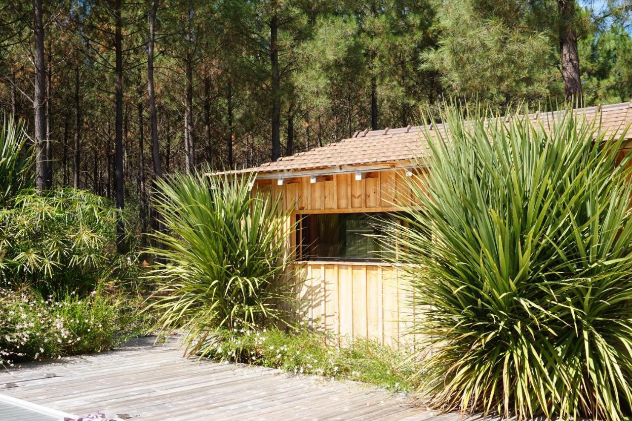 Vacances Ocean Maison Bois Lege Cap Ferret 1-4P Villa Eksteriør bilde